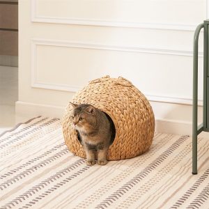 Cat at the front opening of a round woven water hyacinth cat bed cave on a patterned rug