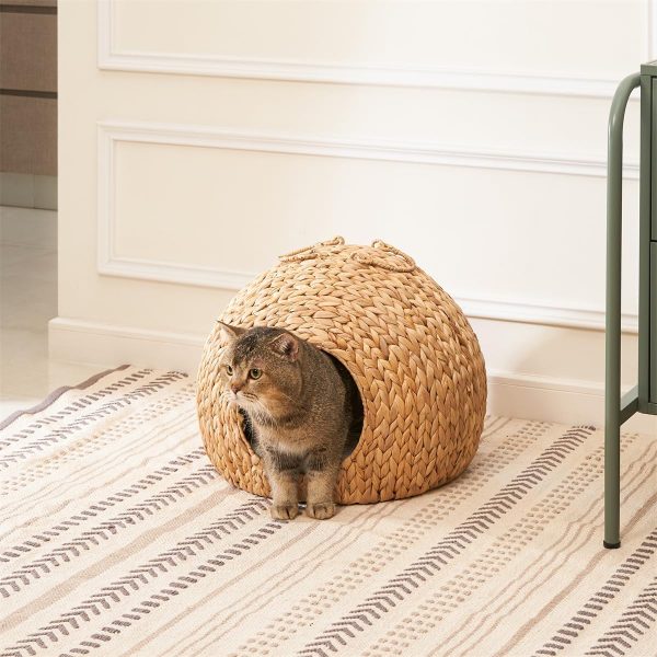 Cat at the front opening of a round woven water hyacinth cat bed cave on a patterned rug