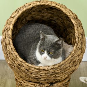 Close-up of an elevated cat bed with a grey and white cat inside the round woven basket